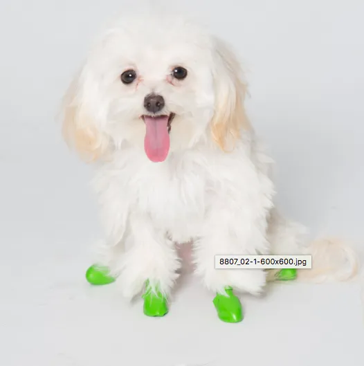 PawZ Rubber Dog Booties