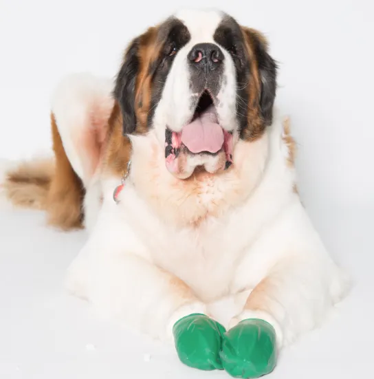 PawZ Rubber Dog Booties