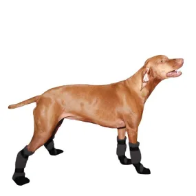 Vizsla Dog Booties