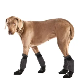 Weimaraner Dog Booties